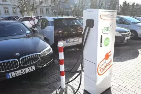 Jetzt können auch in der Langstraße in Landau E-Autos betankt werden.  Foto: van