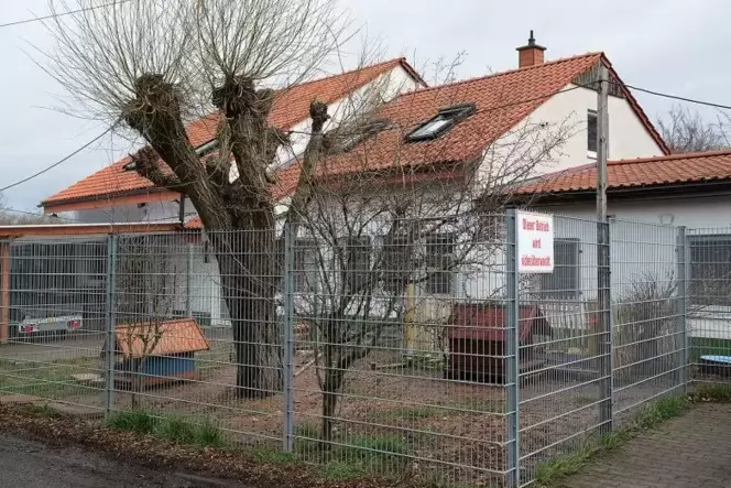 Für das Kirchheimbolander Tierheim trägt nun ein neuer Vorstand beim Tierschutzverein Donnersbergkreis die Verantwortung. Foto: Für das Kirchheimbolander Tierheim trägt nun ein neuer Vorstand beim Tierschutzverein Donnersbergkreis die Verantwortung. Foto: