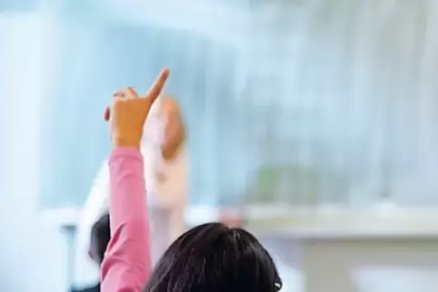 Die CDU rechnet vor: In Landau bekommen bedürftige Kinder rechnerisch sechsmal so viel Extra-Sprachuntericht wie in Ludwigshafen