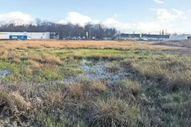 Ärztehaus geplant: Heute steht auf der Fläche hinter Opel-Treter (gegenüber Edeka-Markt) noch das Wasser. Ärztehaus geplant: Heute steht auf der Fläche hinter Opel-Treter (gegenüber Edeka-Markt) noch das Wasser.
