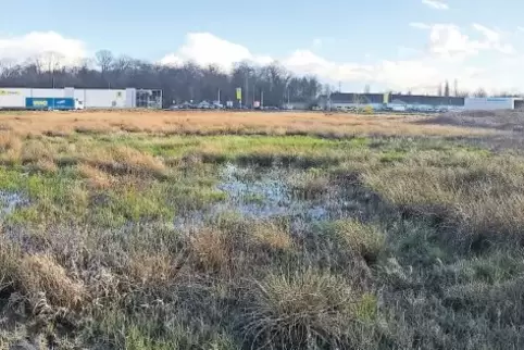 Ärztehaus geplant: Heute steht auf der Fläche hinter Opel-Treter (gegenüber Edeka-Markt) noch das Wasser.