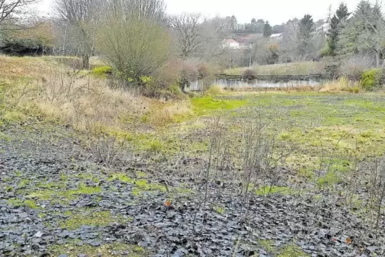 Ein plätschernder Leiselsbach, viel Grün, Bänke zum Erholen: So könnte einmal das derzeit brachliegende Gelände aussehen, auf de