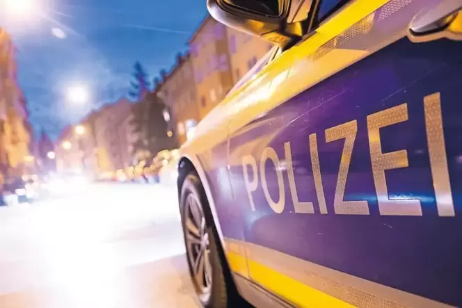 Wenn Polizisten ausrücken, wissen sie oft nicht, in welche Gefahr sie sich begeben.