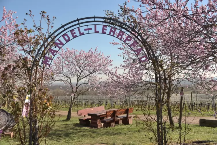fruehling_priebe.jpg