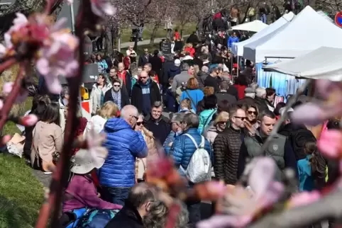 20180325_mandelbluetenfest_sonntag_01.JPG