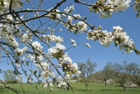 Das Wetter in Rheinland-Pfalz: tagsüber Sonne, in den Nächten Frost möglich. Symbolfoto: VIEW 