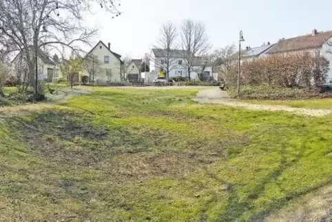 Wie schwer es für eine Gemeinde ist, einen Spielplatz zu errichten, zeigt das Beispiel in Dannstadt-Schauernheim. Hier auf dem G
