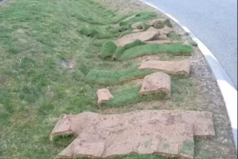 Rasen auf dem Rasen: Ein Unbekannter hat seinen Rollrasen auf dem Kreisel verloren. Foto: Polizei