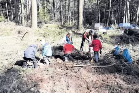 Die Kinder der Waldkindergartens bei der Arbeit in einem Waldstück unterhalb des Stoppelkopfes, wo der Borkenkäfer gewütet hat.