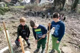 Ihr Wald soll auch den Klimaveränderungen der Zukunft trotzen: Quinten Frey, Finn Glück und Philip Lukas (von links). Foto: Saye