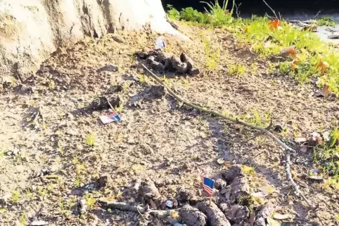 In der Kurfürstenstraße entdeckt: mit US-Fähnchen dekorierte Hundehaufen. Ein Schelm, wer dabei an den US-Präsidenten denkt.