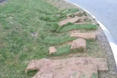 30 Quadratmeter Rollrasen hat der bislang unbekannte Fahrer verloren. Foto: Polizei