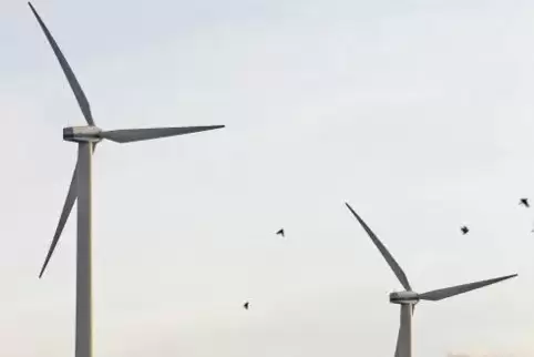 Zwei Windräder will Abowind zwischen Einöllen und Wolfstein bauen. ArchivFoto: M. Hoffmann