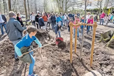 Die Schüler packen ordentlich mit an beim Pflanzen der Linde. Es geht um ihre Zukunft.
