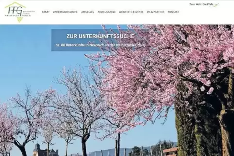 Die neue Homepage der IFG wurde seit Anfang des Jahres über 17.000-mal aufgerufen.