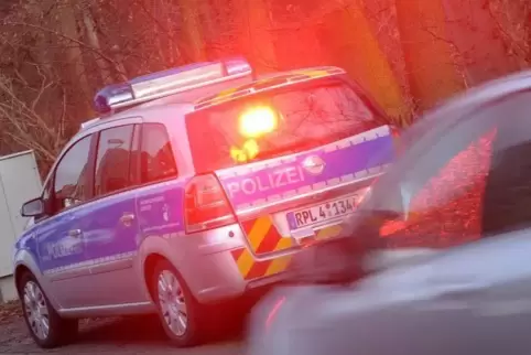 133 Geschwindigkeitskontrollen mit der „Laser-Pistole“ gab es im Bereich der PI Germersheim 2018.  Foto: DPA/Ronald Wittek 