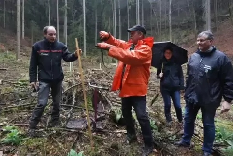 Revierleiter Tobias Keller und Forstmitarbeiter Ulrich Schmitt pflanzen die von Petra und Christian Albrecht (von links) gespend