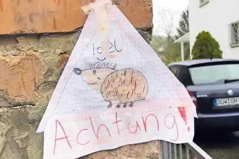 Ob das selbst gemalte Schild der Kinder in der Asselheimer Kappelstraße etwas bewirkt? Es wäre ihnen – und vor allem den Igeln –