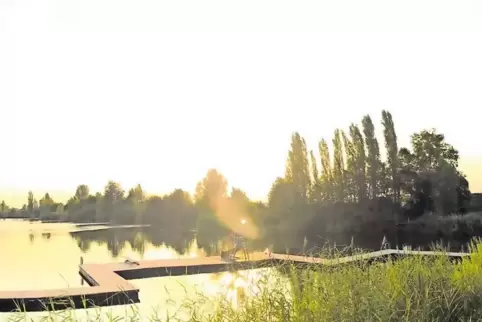 Die Gegend um den Willersinnweiher ist auch eine beliebte Laufstrecke. Die Wege dort sind flach und malerisch.