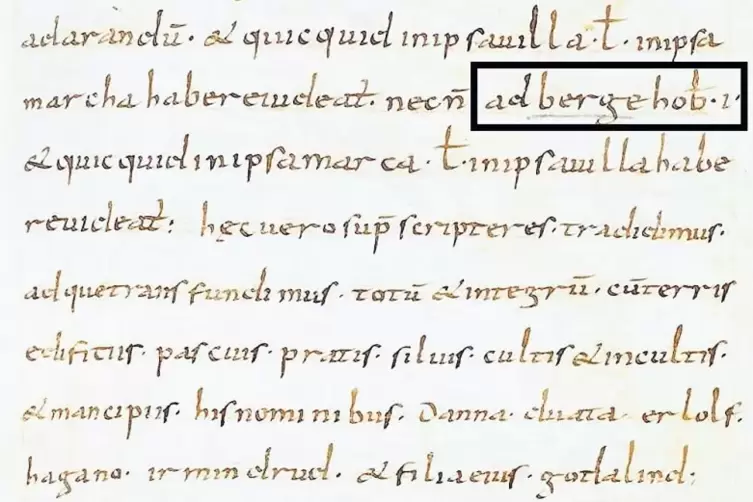 3. August 819, Codex Traditionum: In diesem Auszug aus der Urkunde des Meginher und Wigbald vom Elsass (im LASp: F 1, Nr. 85 fol