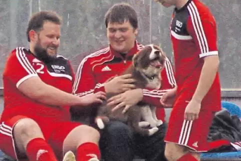 Wenn schon nicht mehr auf dem Rasen, dann wenigstens auf den Ersatzspielersitzen nimmt Australian-Shepherd-Hündin Maja in den Ar