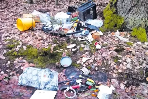 Illegale Müllentsorgungen in der Natur bereiten den Beamten weiterhin große Sorgen.