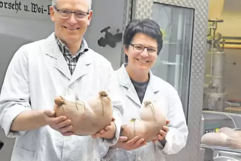Eindeutig Freitag: Klaus und Katja Hambel präsentieren die wohlgeformten frischen Saumagen in der Wurstküche.