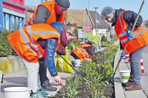 Die Helfer pflegen auch einen Blühstreifen an der Weinstraße.