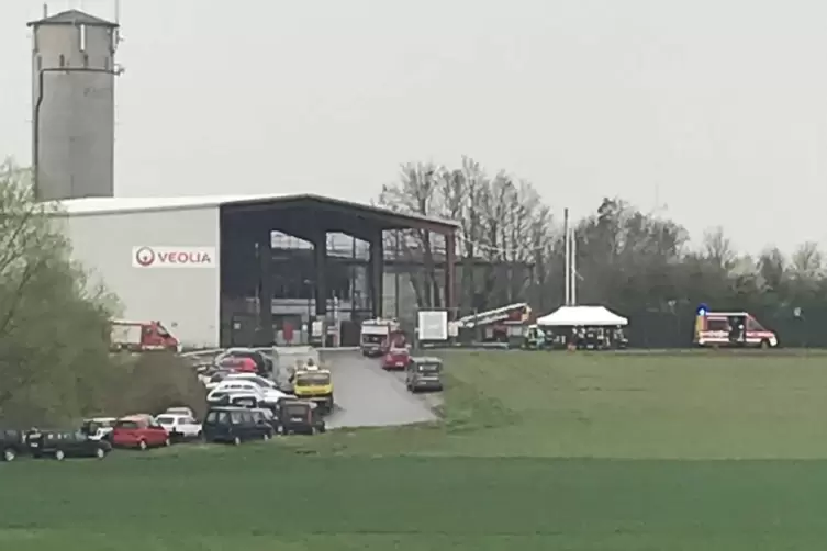 brand8.JPG