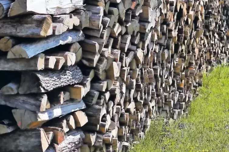 Brennholzstapel k&ouml;nnen auch Lebensr&auml;ume sein.