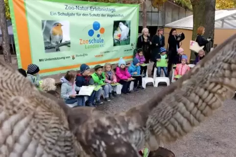 Die Workshops der Zooschule sind bei den Ferienpass-Aktionen sehr beliebt.  ArchivFoto: Iversen