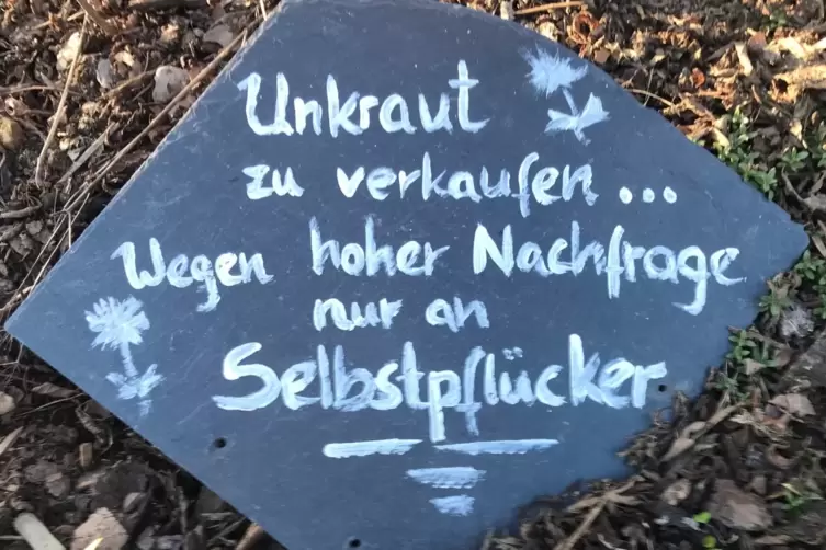 Schnappschuss_Unkraut_Bad_Steben_in_Oberfranken_MICHAEL_FISCHER.JPG.jpeg