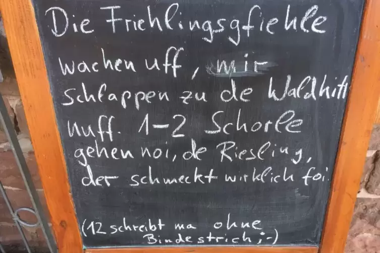 Schnappschuss_12_Schorle_Jungpfalzhuette_bei_Annweiler_HAENLEIN.JPG