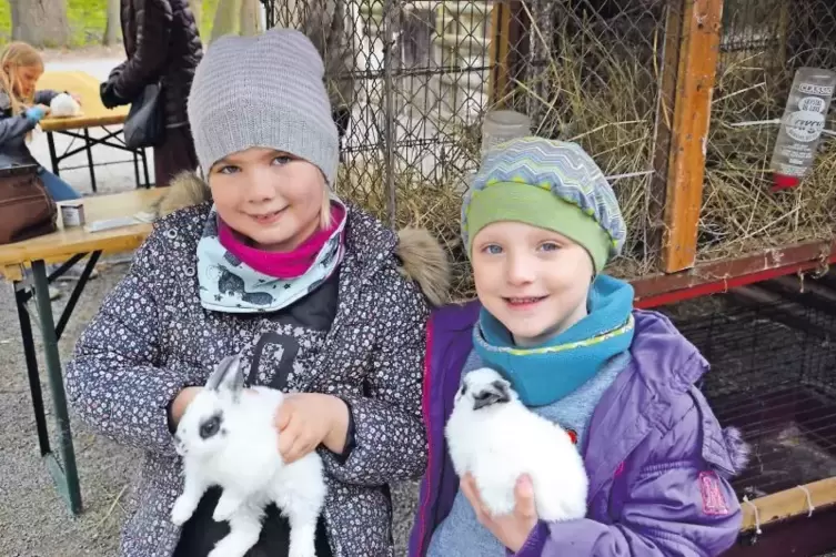 Mögen Kaninchen: die siebenjährige Juna (links) und Ida (5 Jahre).