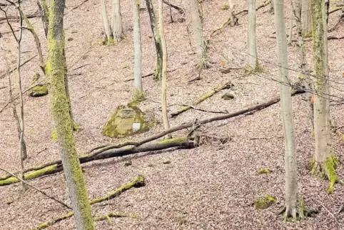 Etwas abseits des Karl-Volkert-Wegs liegt der Gedenkstein, der an die drei Ozeanflieger erinnert.