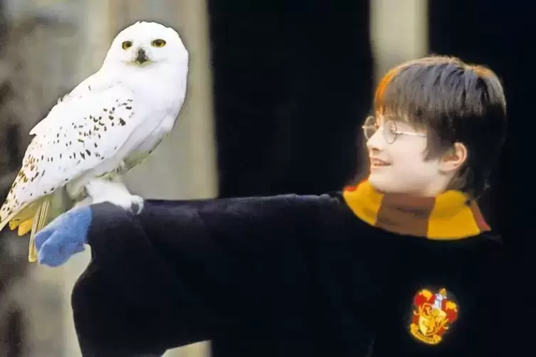 Die geheimnisvolle Welt von Hogwarts: Der Soundtrack begeistert nicht nur Klassik-Liebhaber, sondern auch Kinder und Jugendliche