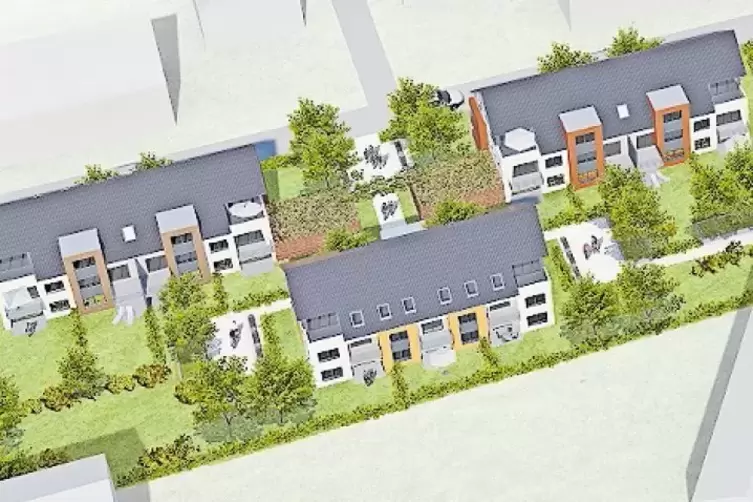 Ein aktuelles Projekt: Ligustergang in der Gartenstadt.