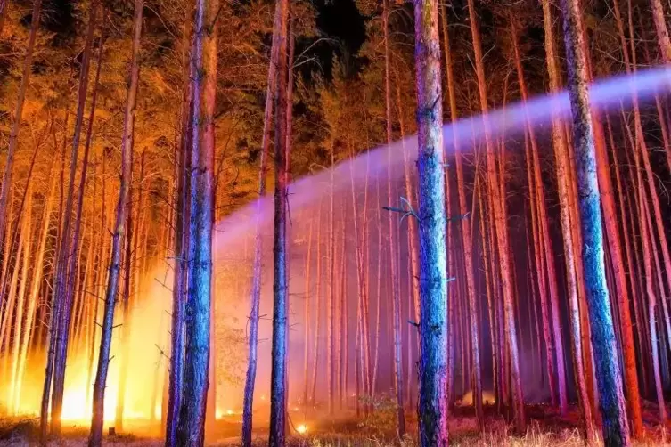 Weil es für diese Jahreszeit deutlich zu trocken ist, schätzen Experten für Waldbrände als hoch ein. Archivfoto:dpa
