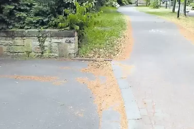 Am Ende der Salinenstra&szlig;e in D&uuml;rkheim fehlt derzeit noch die Bordsteinabsenkung.