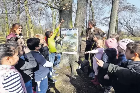 Die Waldklasse im Ordenswald: Volker Platz erklärt, welche Tiere in den heimischen Gewässern leben.