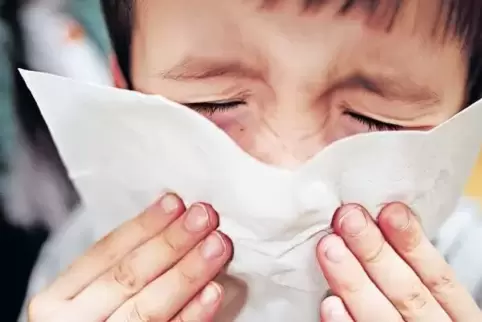 Vor allem Kinder im Alter bis neun Jahren erkrankten in diesem Jahr in Rheinland-Pfalz an Grippe.