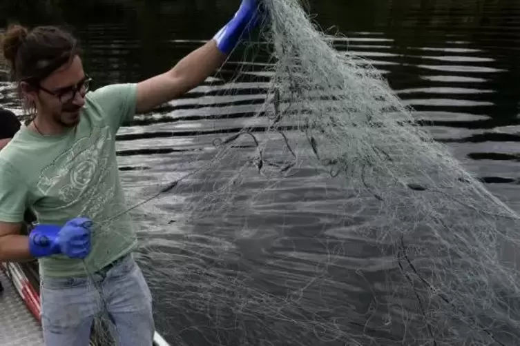 Der angehende Fischwirtschaftsmeister Hannes Kuhn zeigt eins der Netze, mit denen er gro&szlig;e Karpfen fangen kann.  Foto: BOLTE