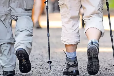 Wandern intensiv: Beim 8. Donnersberger Wandermarathon stehen am Samstag neben der Marathon-Distanz auch Strecken über 30 und 20