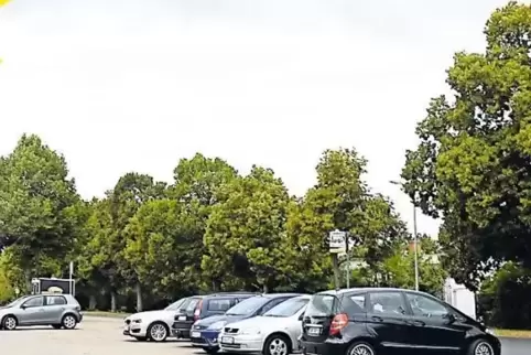 Die Lindenbäume.