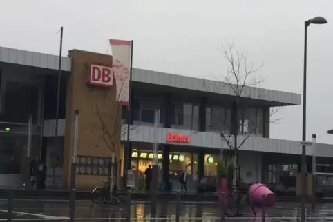 Mit zwei Haftbefehlen gesucht wurde der Mann, den die Bundespolizei am Landauer Bahnhof verhaftet hat.  Foto: skz
