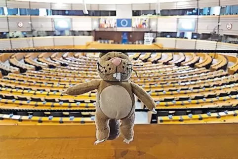 Nils im EU-Parlament.