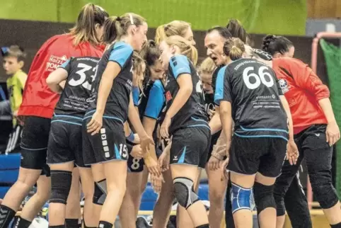 Starkes Team: Statt dem Klassenerhalt erspielten sich die Damen der Handball-Region den Aufstieg.