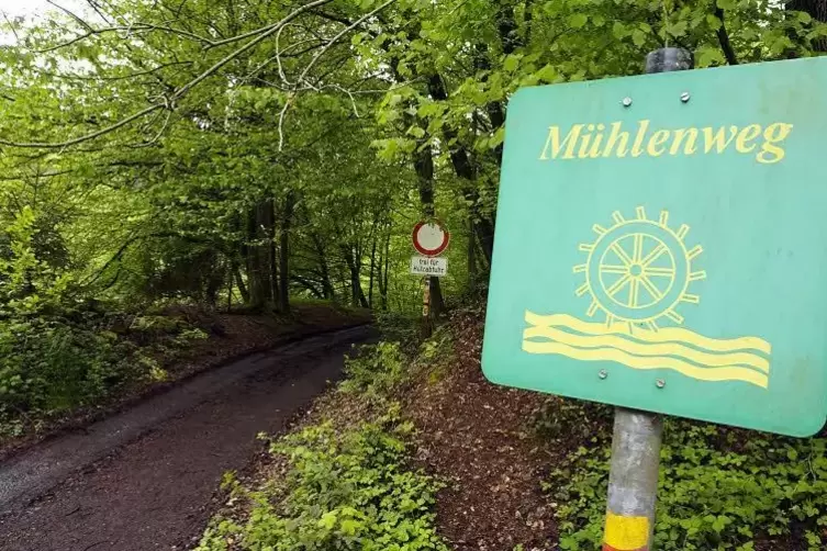 Für 800.000 Euro wird der Mühlenradweg zwischen Wallhalben und Thaleischweiler ausgebaut. Das ist weniger als erwartet. Archivfo