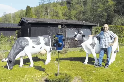 Seit Anfang April zieren diese beiden lebensgroßen Plastikkühe den Schrebergarten von Michael Awdejew in Niederauerbach. Zuvor g
