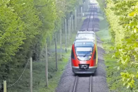 Erdlöcher und Ausschwemmungen gefährden die Bahntrasse.
